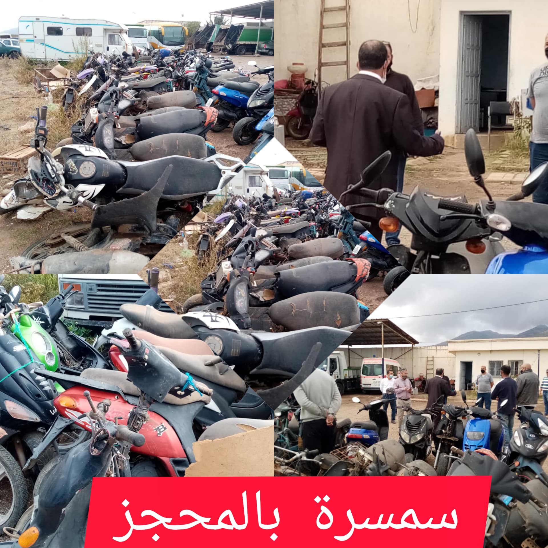 افتتاح المزاد العلني بالمحجز الجماعي