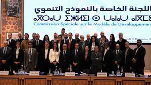 فيديو _ كبسولة  حول  اللجنة الخاصة بالنموذج التنموي